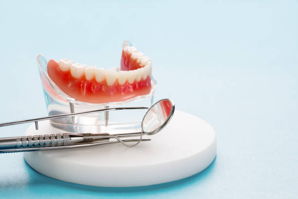 Trusted Farmington, PA Holistic Dental Care Services Experts
